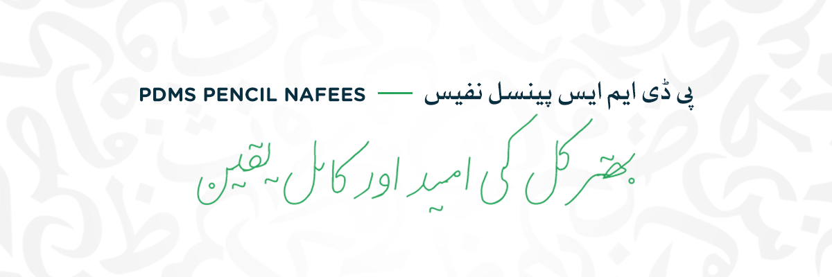 PDMS-Pencil-Nafees PDMS-Pencil-Nafees